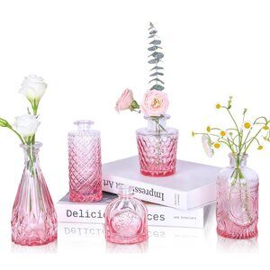 UPBUD Mini Clear & Pink/Red Glass Bud Vases - Set of 5 - NEW